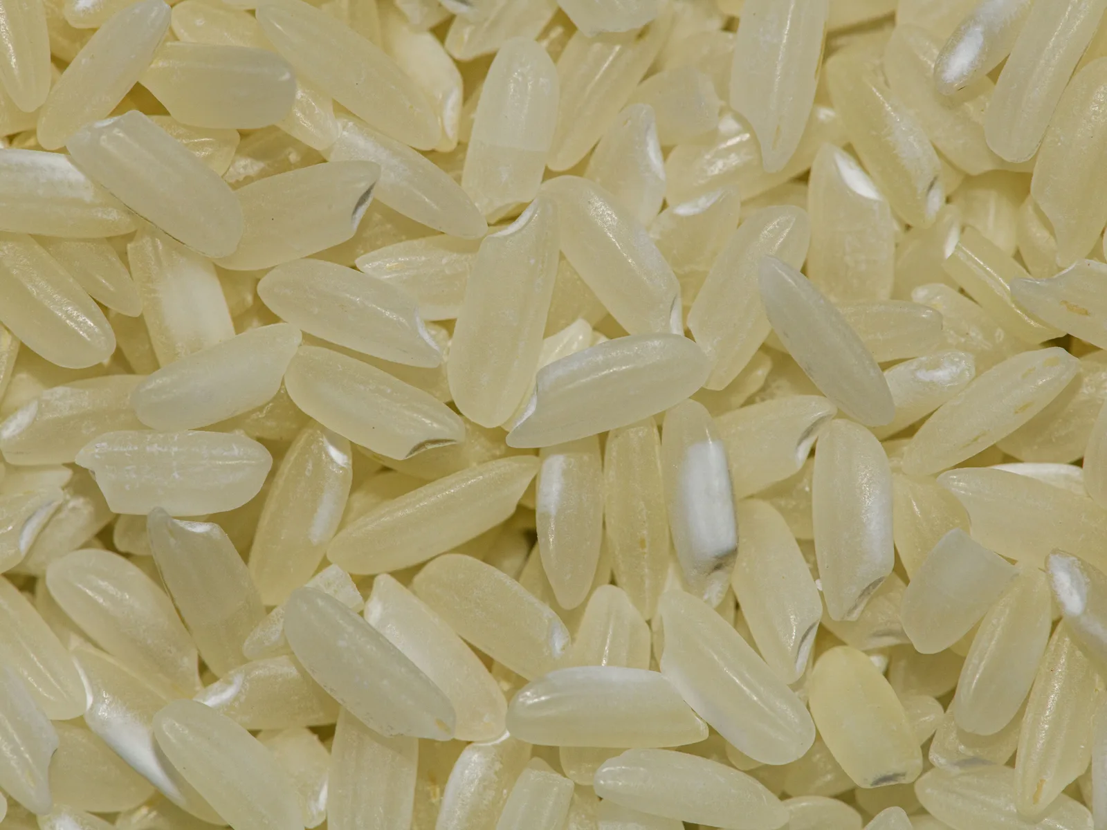 Basmati rice — export grades — LT Foods