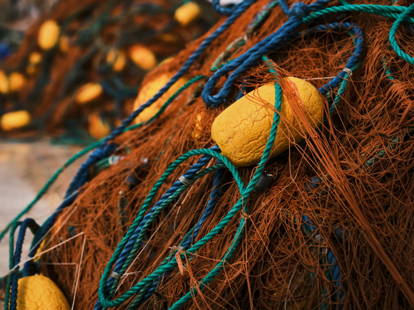 Technical netting and cordage — Garware Technical Fibres