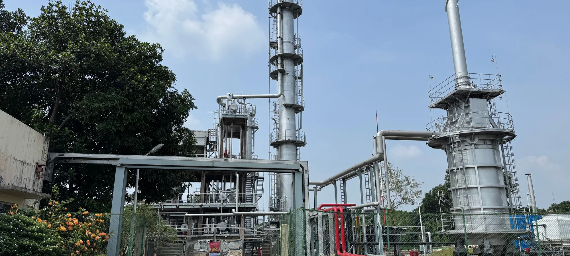 Standardised plant actives with a clinical file behind them. This is where Indian supply competes on characterisation and evidence rather than on landed cost.