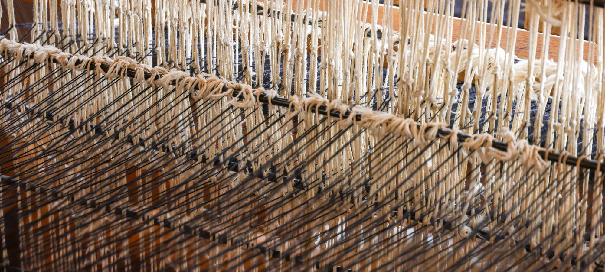 Volume manufacturing with a real cost position, where the qualification question is usually social audit and fibre traceability rather than capability.